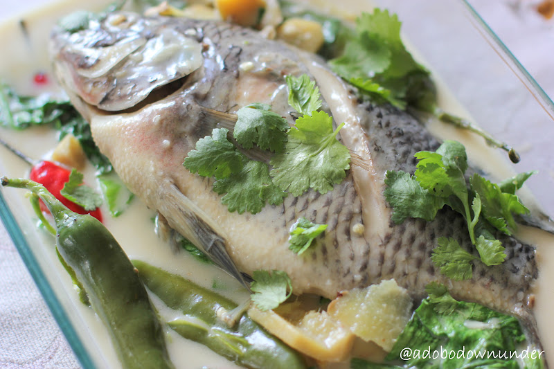 adobo down under Shallowpoached tilapia in coconut milk with chillies