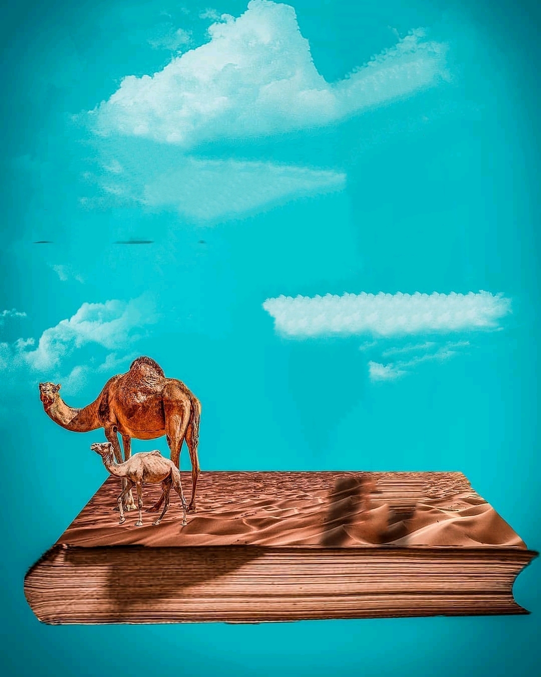 Get Picsart 3D Wallpaper Photography Cb Background Pics