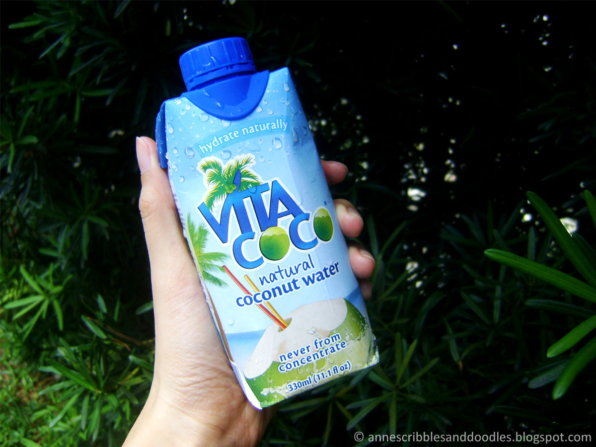 Blogapalooza Horizons 2016: Vita Coco | Anne's Scribbles and Doodles