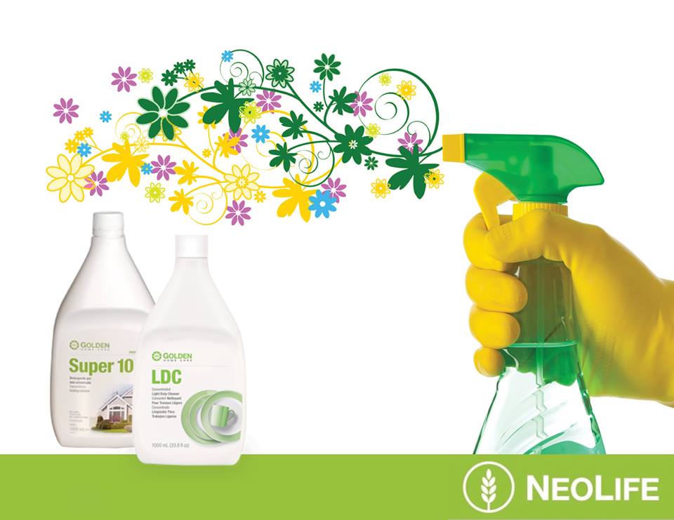 SALUTE HEALTH SALUD food supplement integratori FRANCESCA MODUGNO