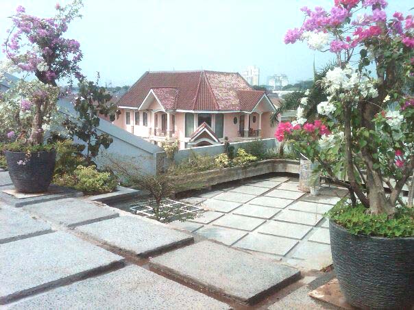 tukangtaman: taman rumah di lantai atas.lokasi;Gedong hijau.pondok indah.