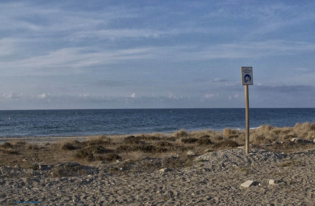 Tortugas Alegres Internacionales Playa de la Chucha Carchuna Calahonda