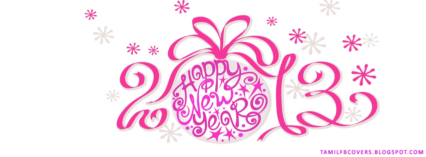My India FB Covers: 2013 Happy New year in pink