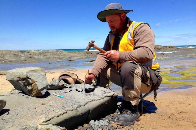 Virtual dinosaur digging: Using technology of the future to visit the past