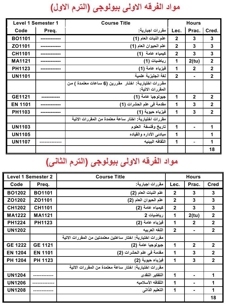 كيفية عمل سيره ذاتيه جاهزة بإستخدام الورد مع الشرح بالصور منتديات سكاو