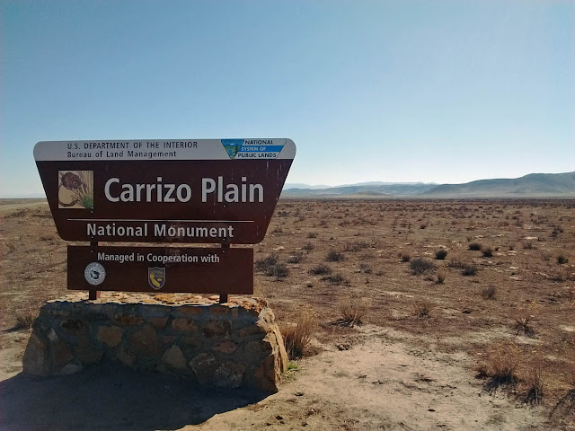 Carrizo Plain