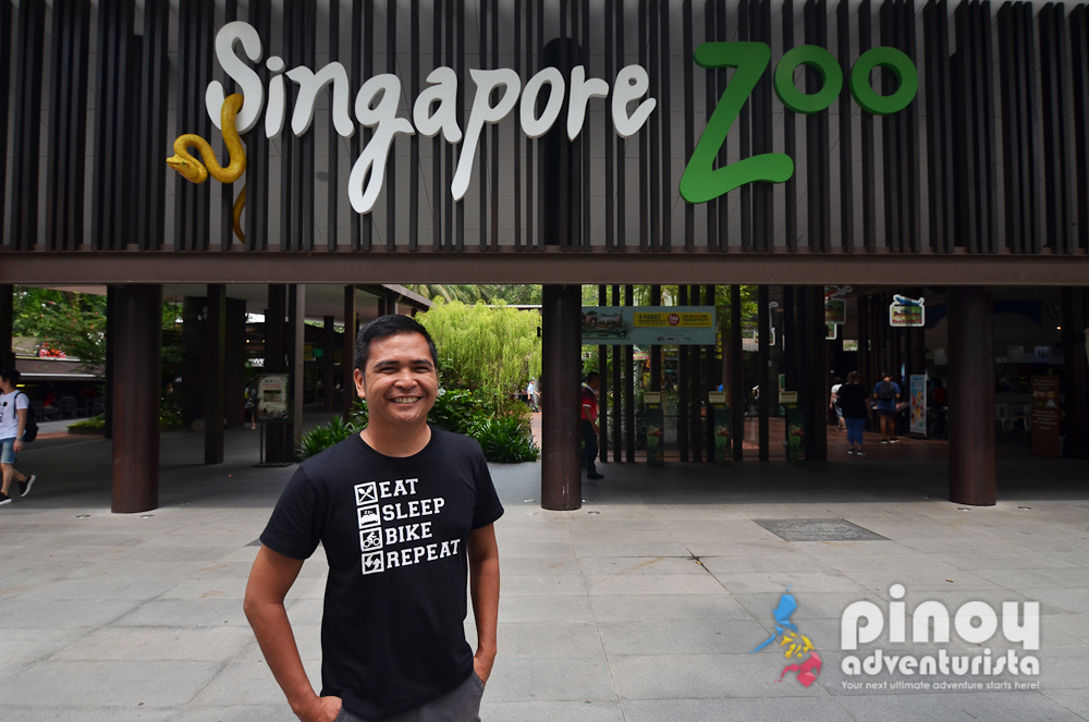 Singapore Zoo and Night Safari Adventure (with Tips and Reminders, Ticket  Prices, Photos, and More!) | Blogs, Travel Guides, Things to Do, Tourist  Spots, DIY Itinerary, Hotel Reviews - Pinoy Adventurista
