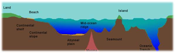 Morfologi dasar laut yang sangat dalam memanjang sempit dan terjal disebut
