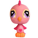 Littlest Pet Shop Multi Pack Parakeet (#553) Pet