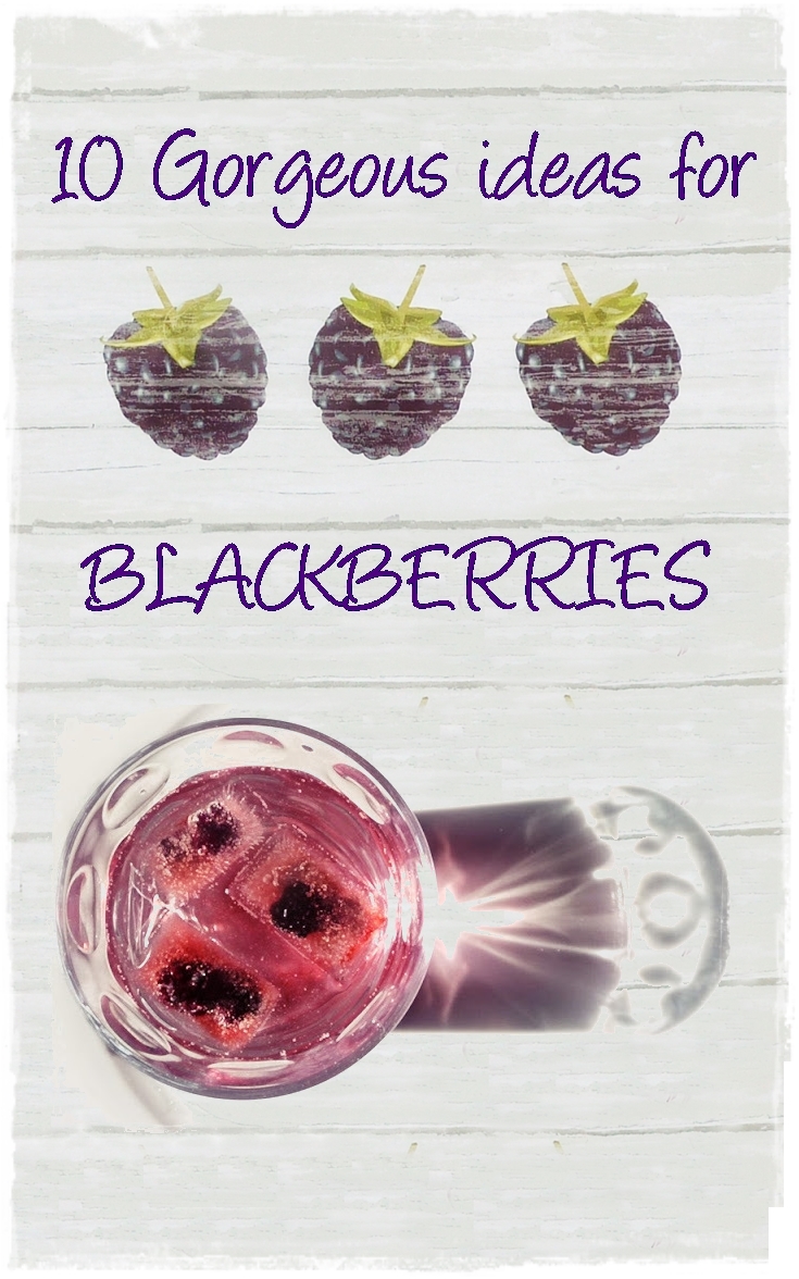 10 Ideas for Blackberries! sudden lunch! suzy bowler