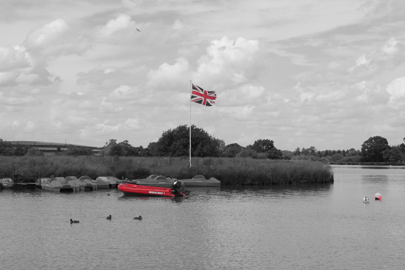 open water swimming midlands