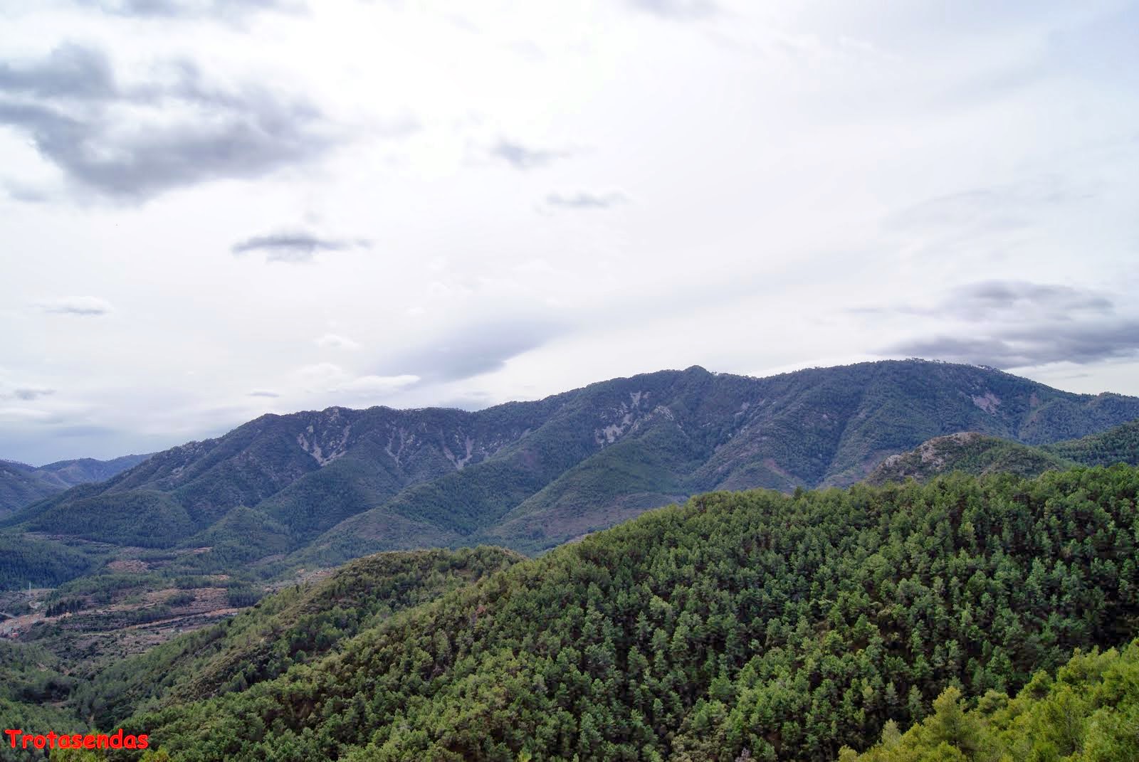 No a la perdida de 70.000 hectáreas del parque natural de la sierra de Espadán