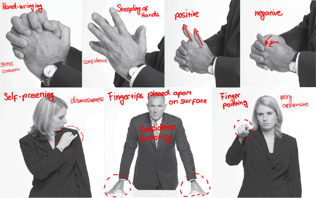 Animopus The Power of Nonverbal Communications