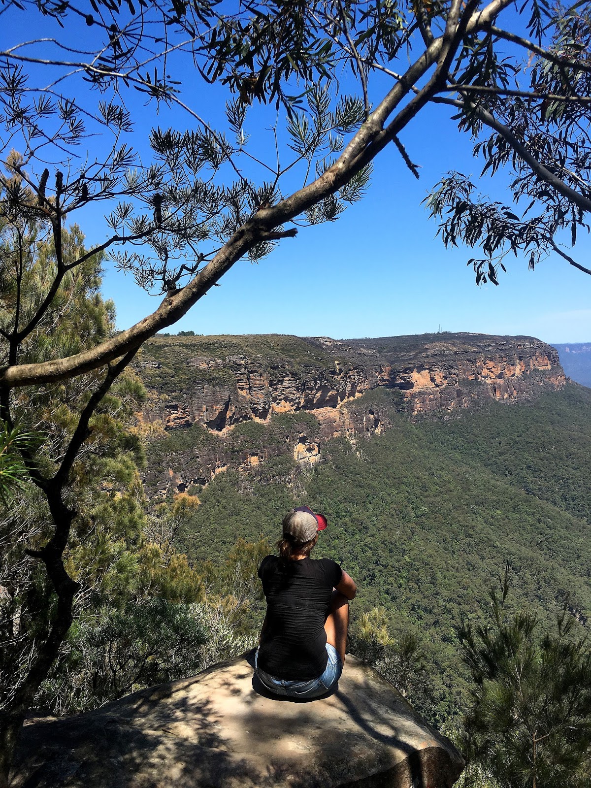 The National Pass track in the World Heritage listed Blue Mountains has been one of the most beautiful hiking trails I have seen. With the highest outdoor staircase and breathtaking views it's not to be missed!