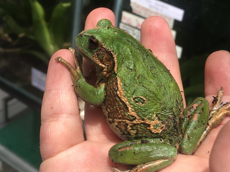 The Zoo Review Zoo Review Vivarium de Quito