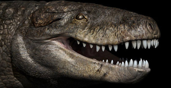 Conheça o crocodilo gigante que aterrorizava grandes dinossauros