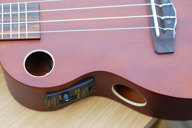 Riptide EUC-5NS concert ukulele sound holes