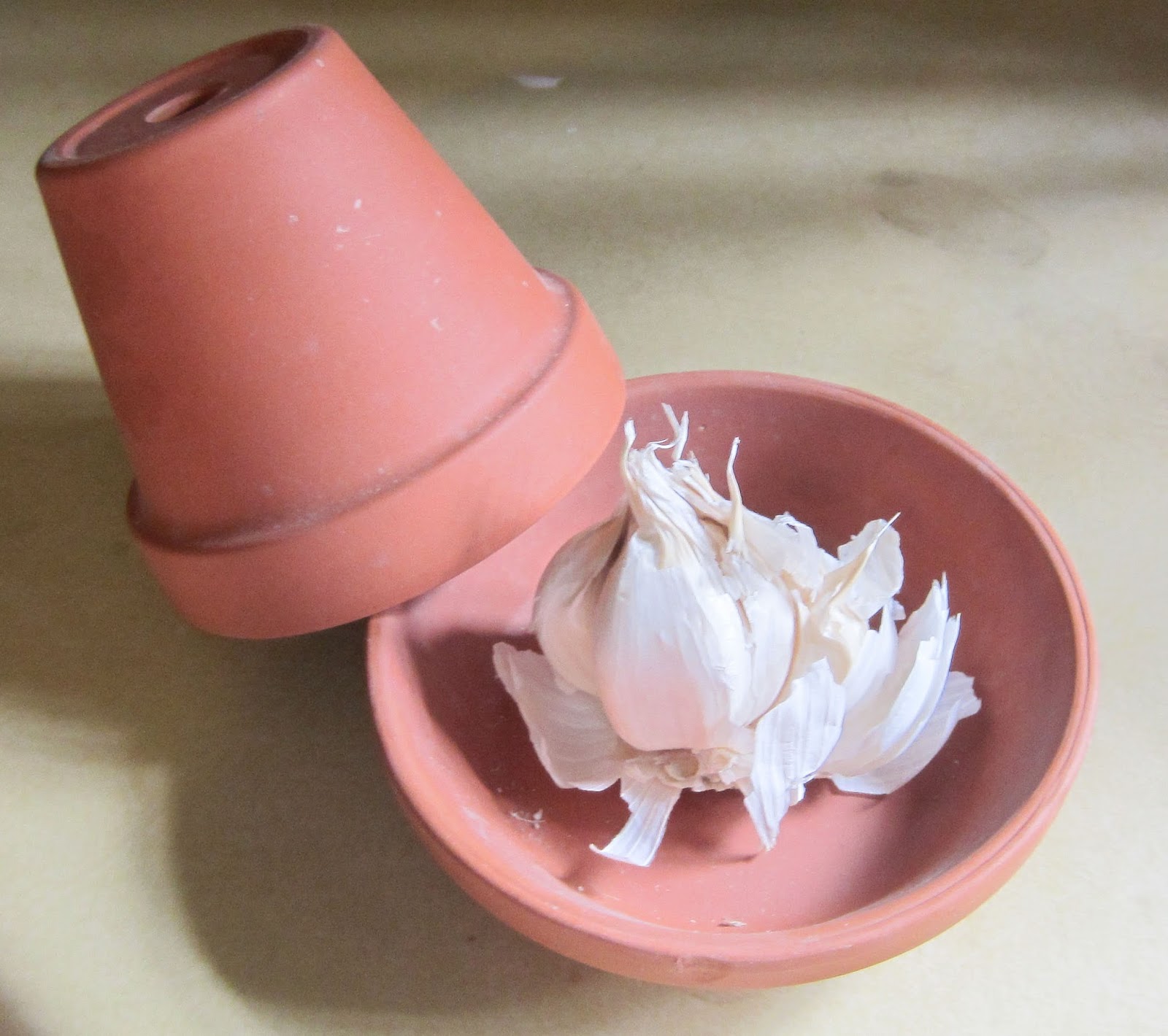 A Good Home My new garlic keeper