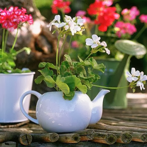 Unique flower pot back yard pictures; small yard design; small backyard design ideas; backyard design ideas for kids; backyard ideas; small backyard designs; small front yard design; small yard ideas; small yard landscaping; small backyard design; small yard design ideas; small landscape design; small garden design; small backyard design on a budget; small backyard landscaping ideas; backyard ideas on cheap budget; backyard ideas on a budget; diy backyard design; diy backyard ladnscaping; diy backyard photos; diy small backyard design; backyard ideas diy; yard design on a budget; small backyard on a budget; backyard ideas cheap; cheap landscaping ideas for backyard; cheap backyard design ideas; cheap diy backyard ideas