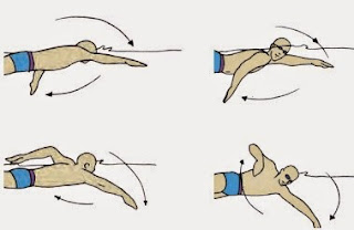 Welcome To My World Swimming Styles