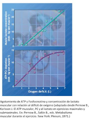 Sistema energético aeróbico o sistema oxidativo Sistema energético aeróbico o sistema oxidativo