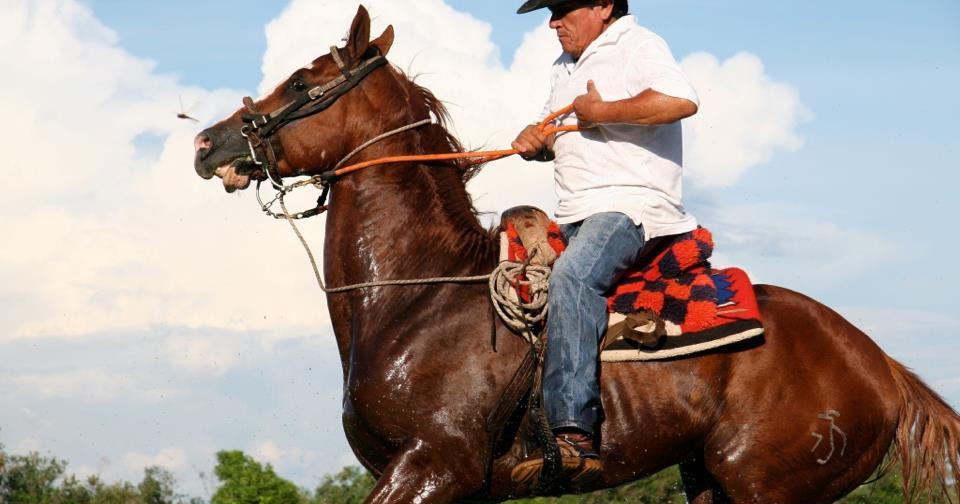 “Me prohibieron montar a caballo”: Cholo - Agenda Hoy