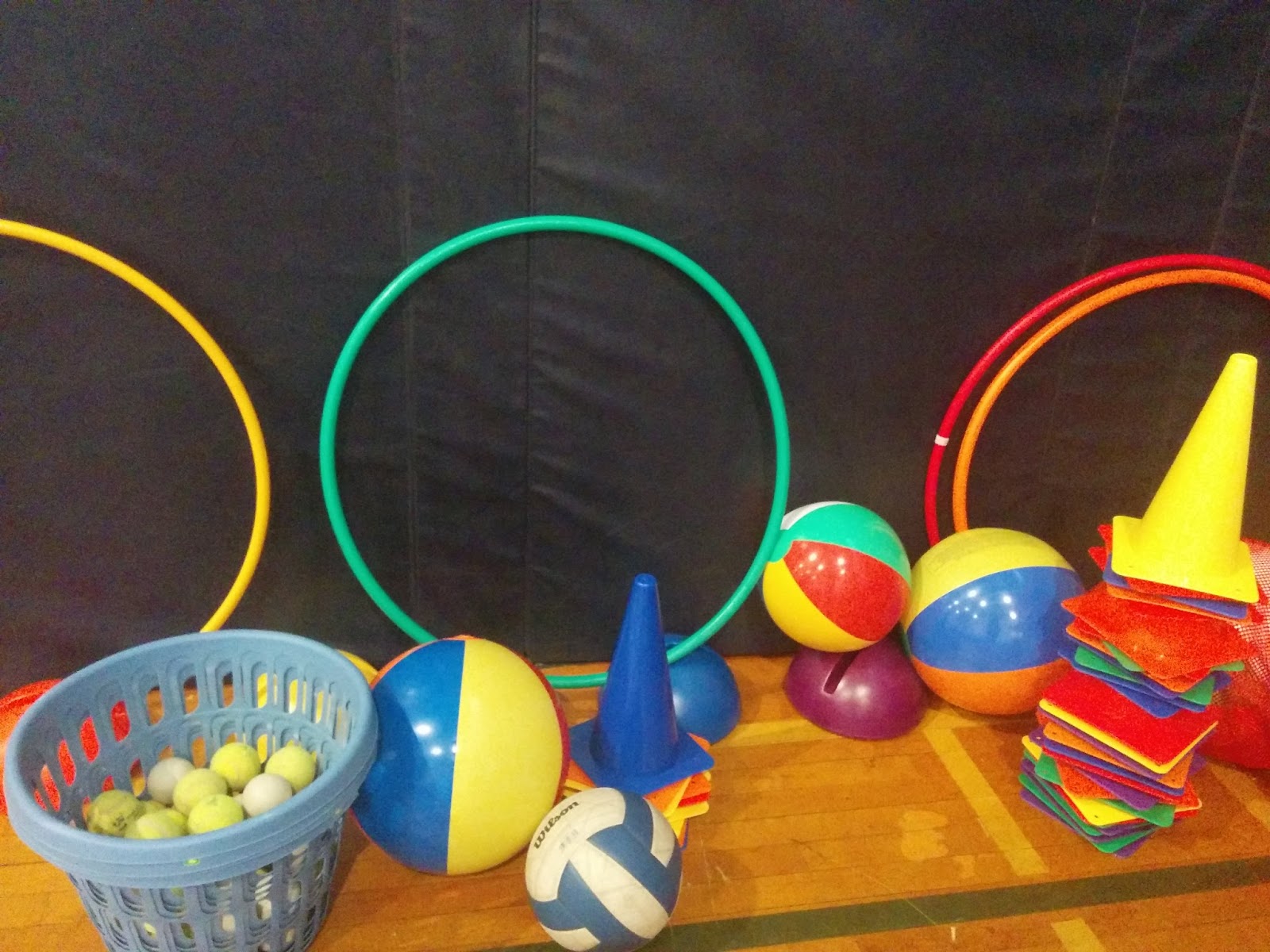 Week 2 Physical Education Special Curriculum Areas APD2214