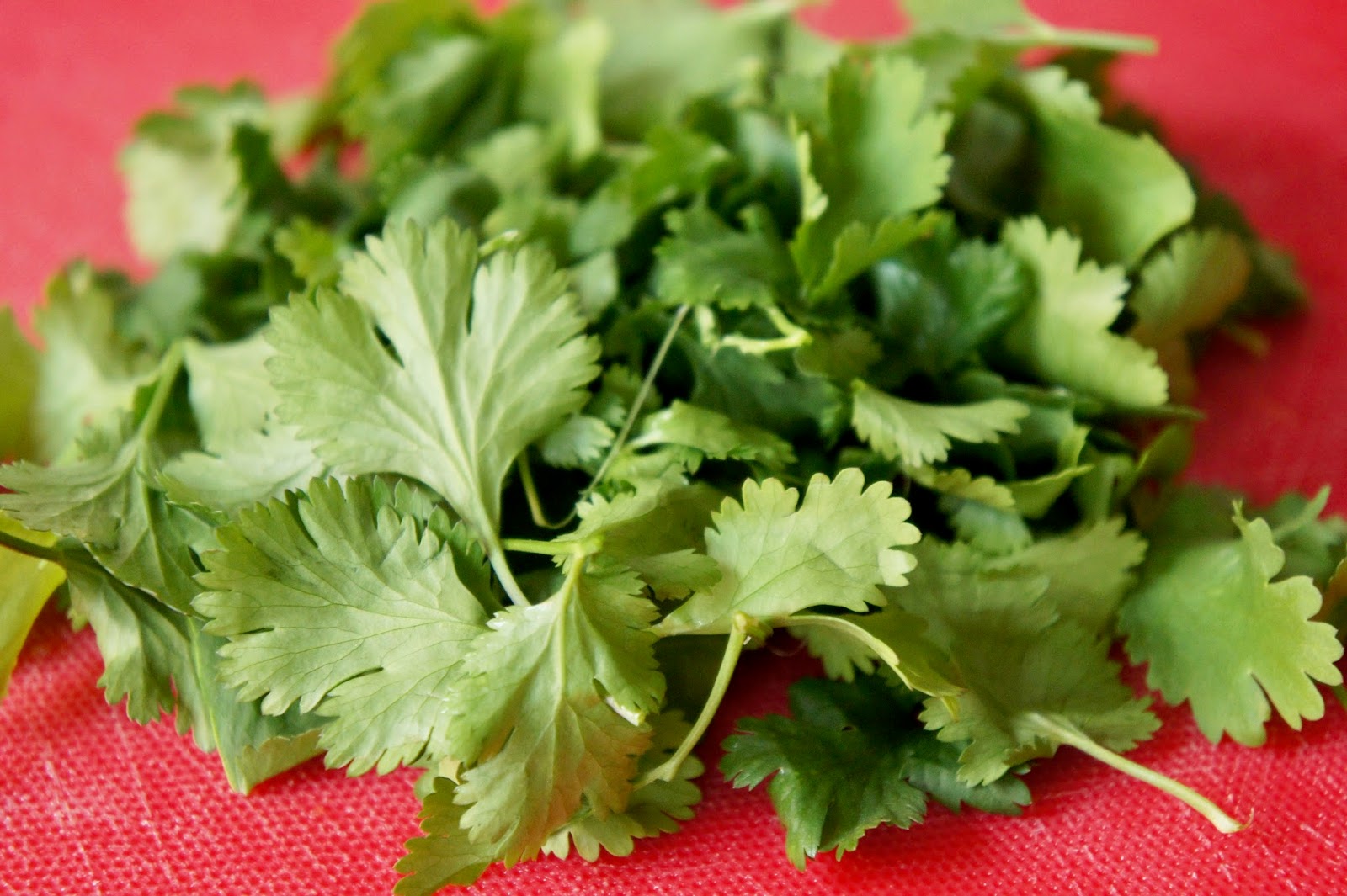 REZEPT: Pico de Gallo (Mexikanische Salsa) ♥ Ein glutenfreier Blog