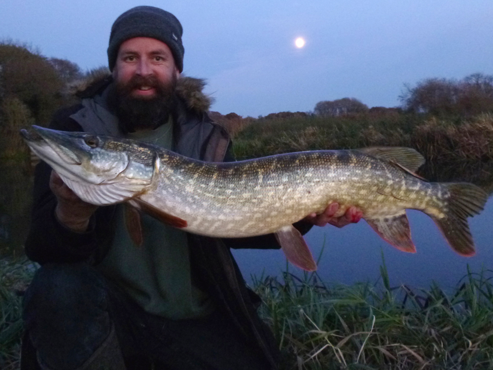 Pike Blog Pike Teeth & Time