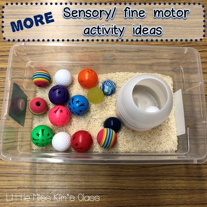 Little Miss Kim's Class Sensory & Fine Motor Activity Ideas for Special Education