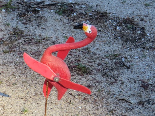 plastic flamingos on beach