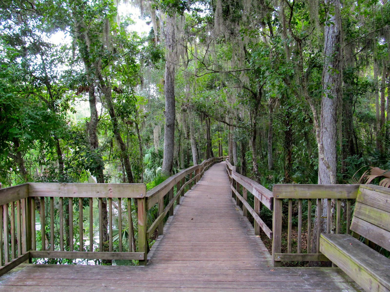 The trail along the springs http://ouroutdoortravels.blogspot.com