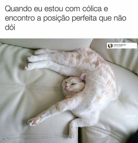 Memes divertidos Memes divertidos