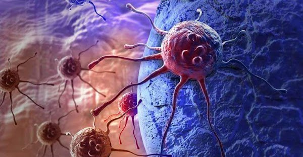 El virus mortal se propaga en todo el mundo y reclama la primera muerte en Canadá. El virus mortal se propaga en todo el mundo y reclama la primera muerte en Canadá.