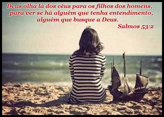 Palavra Eficaz Bola de Pano Salmos 53