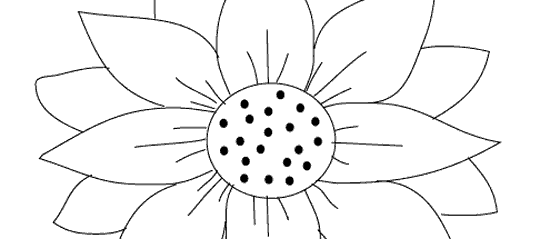 Mewarnai Bunga Matahari Menggambar Dan Mewarnai