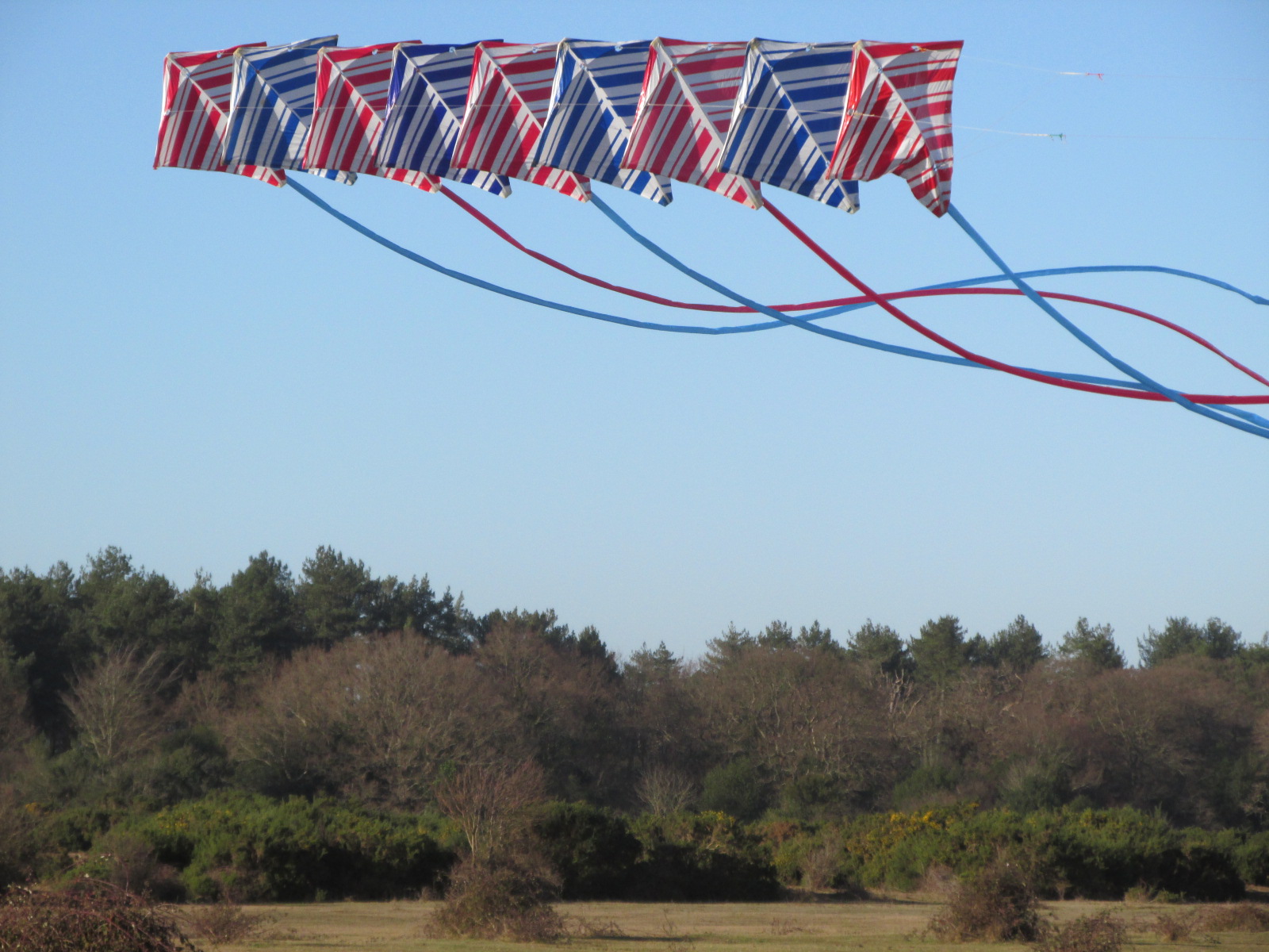 Flying Fish Kiting Team 9 Trlbys and 9 Aces