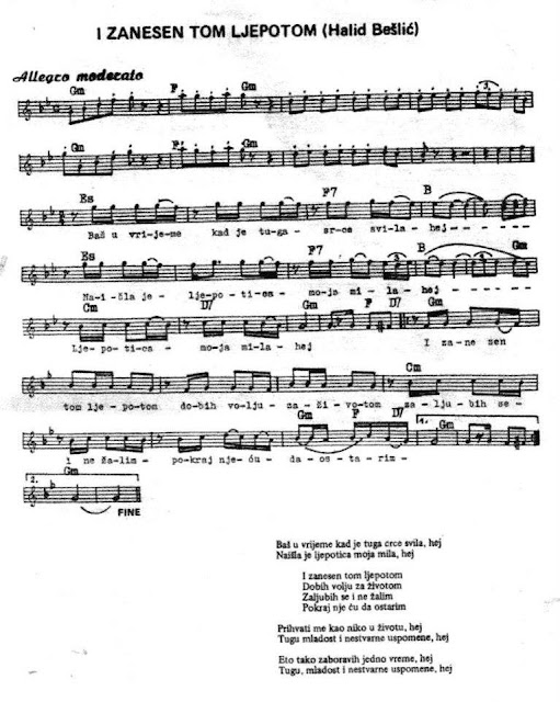 NOTE DOMACE I STRANE I ZANESEN TOM LJEPOTOM HALID NOTE AKORDI TEKST