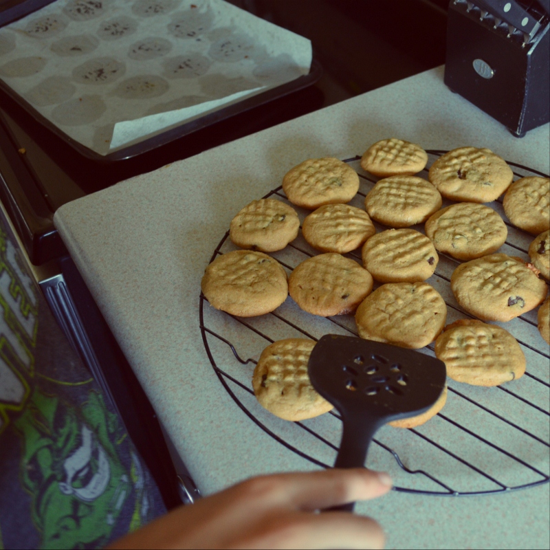 Woman in Real Life Kraft Peanut Butter Chocolate Chip Cookies in a Hurry
