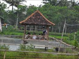 desa wisata