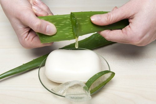 Avantages de la préparation du savon d'aloès Avantages de la préparation du savon d'aloès