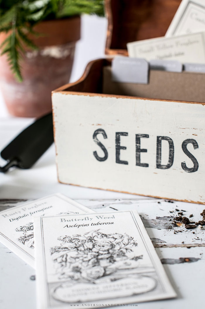 Keep all of your seed packets in one convenient place with this DIY Seed Storage Box. Vintage botanical print seed packets from Monticello