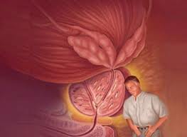 masturbación durante la terapia de prostatitis