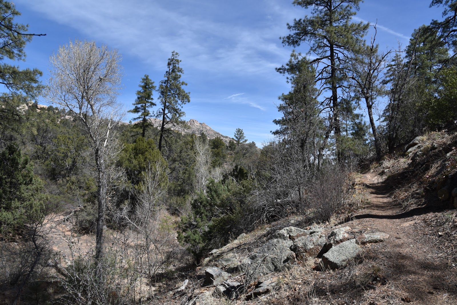 Arizona Hiking CLARK SPRING TRAIL 40