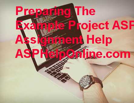 Adding Packages To The Project ASP Homework Help