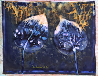 Wet Cyanotype_Sue Reno_Image 59