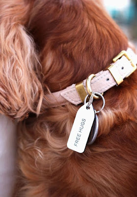 Standard leather collar buckle Dog