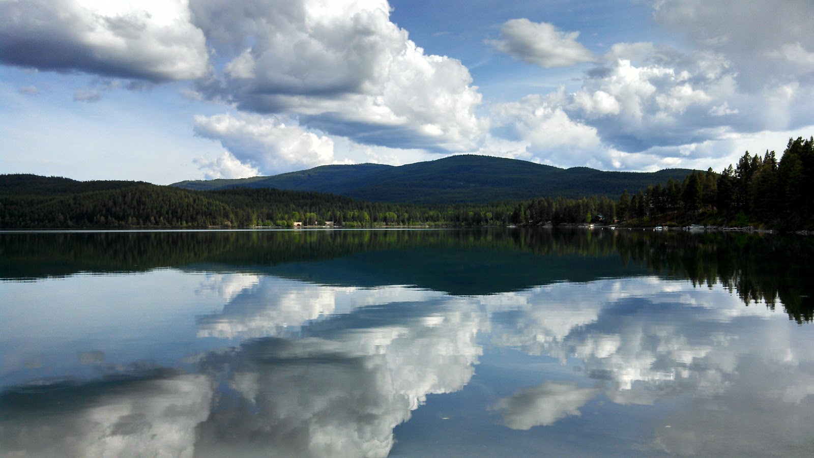 New Life In Montana June 2013