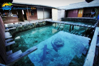 floating home shark karimunjawa floating home shark