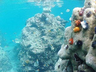 Wisata Aceh, Unforgettable Journey to Breueh Island Wisata Aceh, Unforgettable Journey to Breueh Island